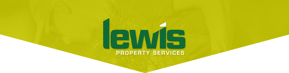 Lewis Property Services
