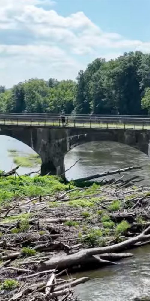 Douglassville bridge log jam removal