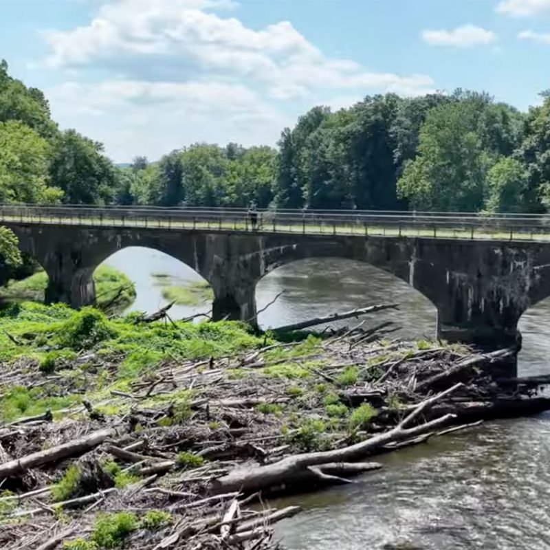 Douglassville bridge log jam removal